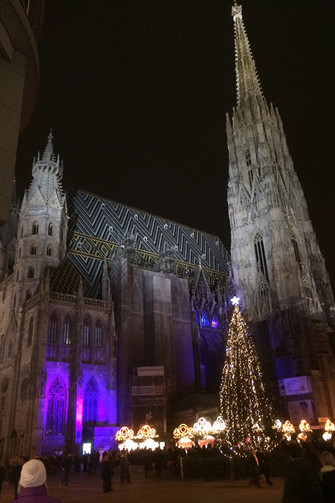 ウィーンの象徴シュテファン寺院もクリスマスのライトアップ。周辺はクリスマスマーケットが立ち並んでいます。